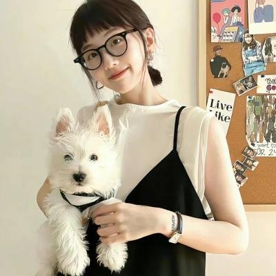 李佩西与五大王国的守护者 在线观看封面